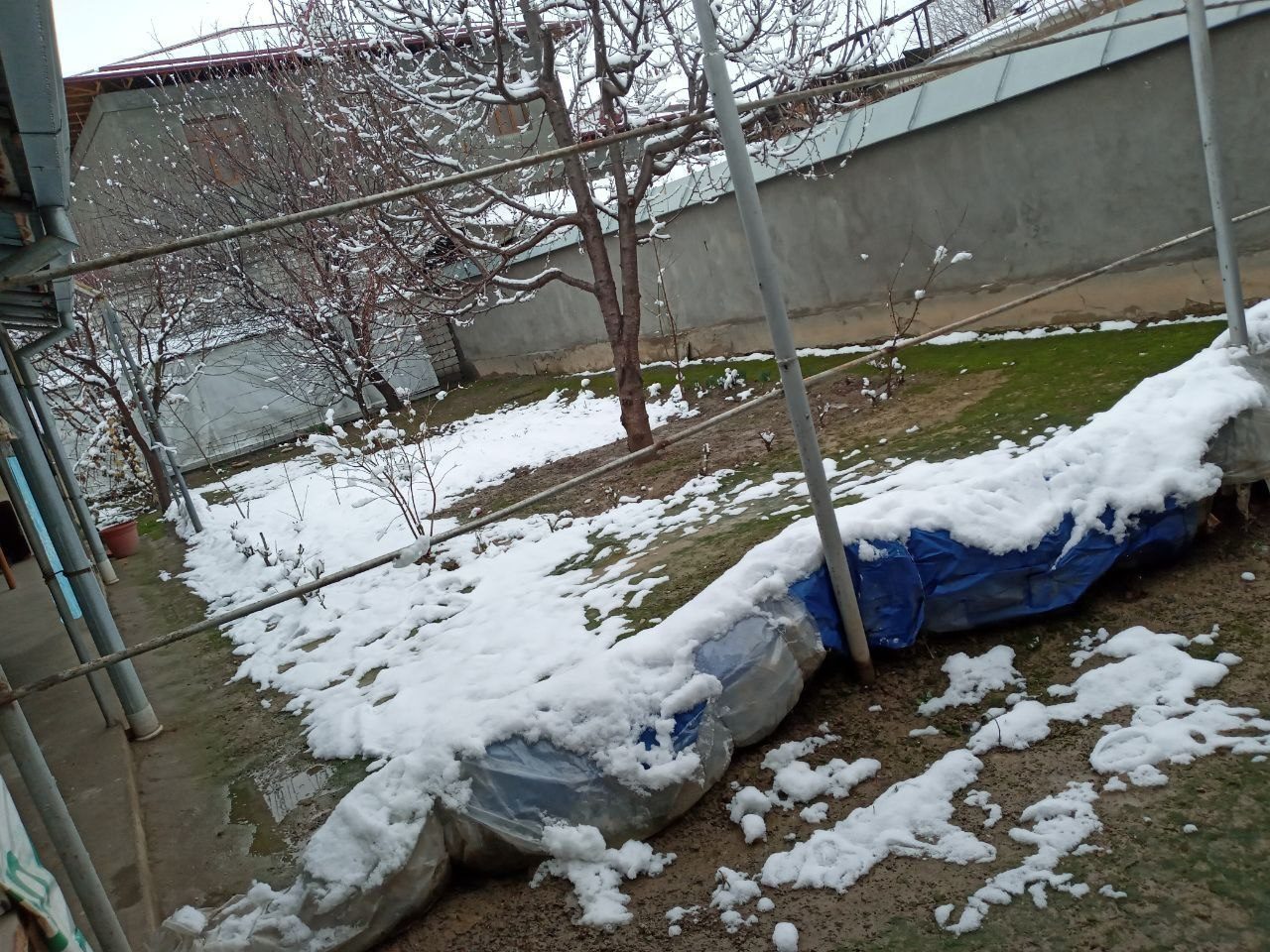 4-xonali uy, 5 m², Toshkent, Yunusobod tumani, sotuvga