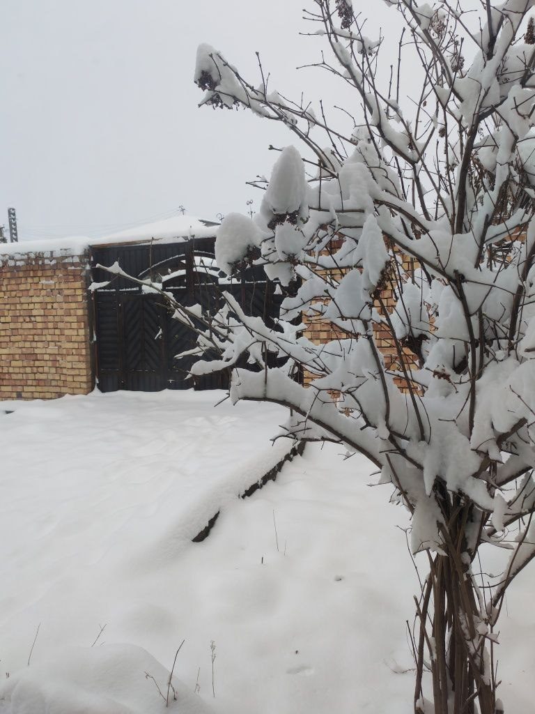 5-xonali uy, 50 m², Toshkent, Mirzo Ulug‘bek tumani, sotuvga