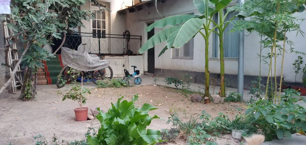 6-xonali uy, 110 m², Toshkent, Mirzo Ulug‘bek tumani, sotuvga