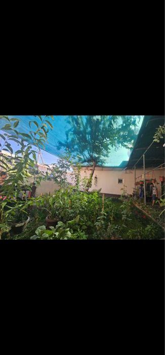 Urgent sale of a house in Chukursoy
