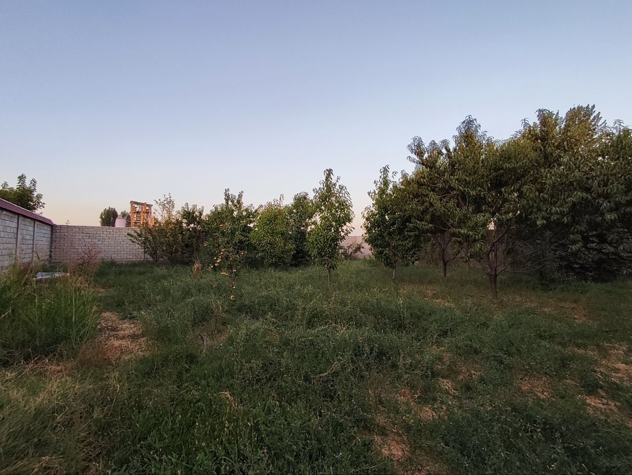 1-xonali uy, 1000 m², Toshkent, Bektemir tumani, sotuvga