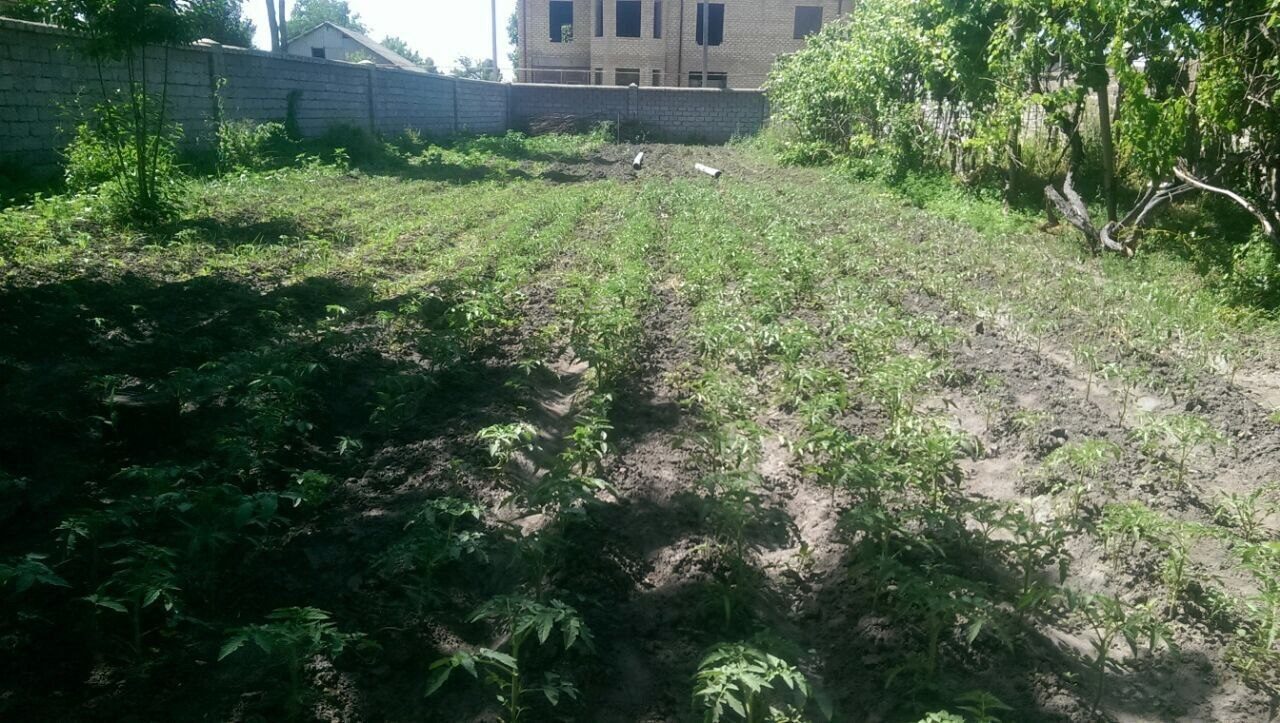 3-xonali uy, 65 m², Toshkent, Mirzo Ulug‘bek tumani, sotuvga