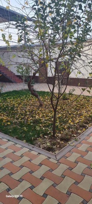 6-xonali uy, 360 m², Toshkent, Shayxontohur tumani, sotuvga