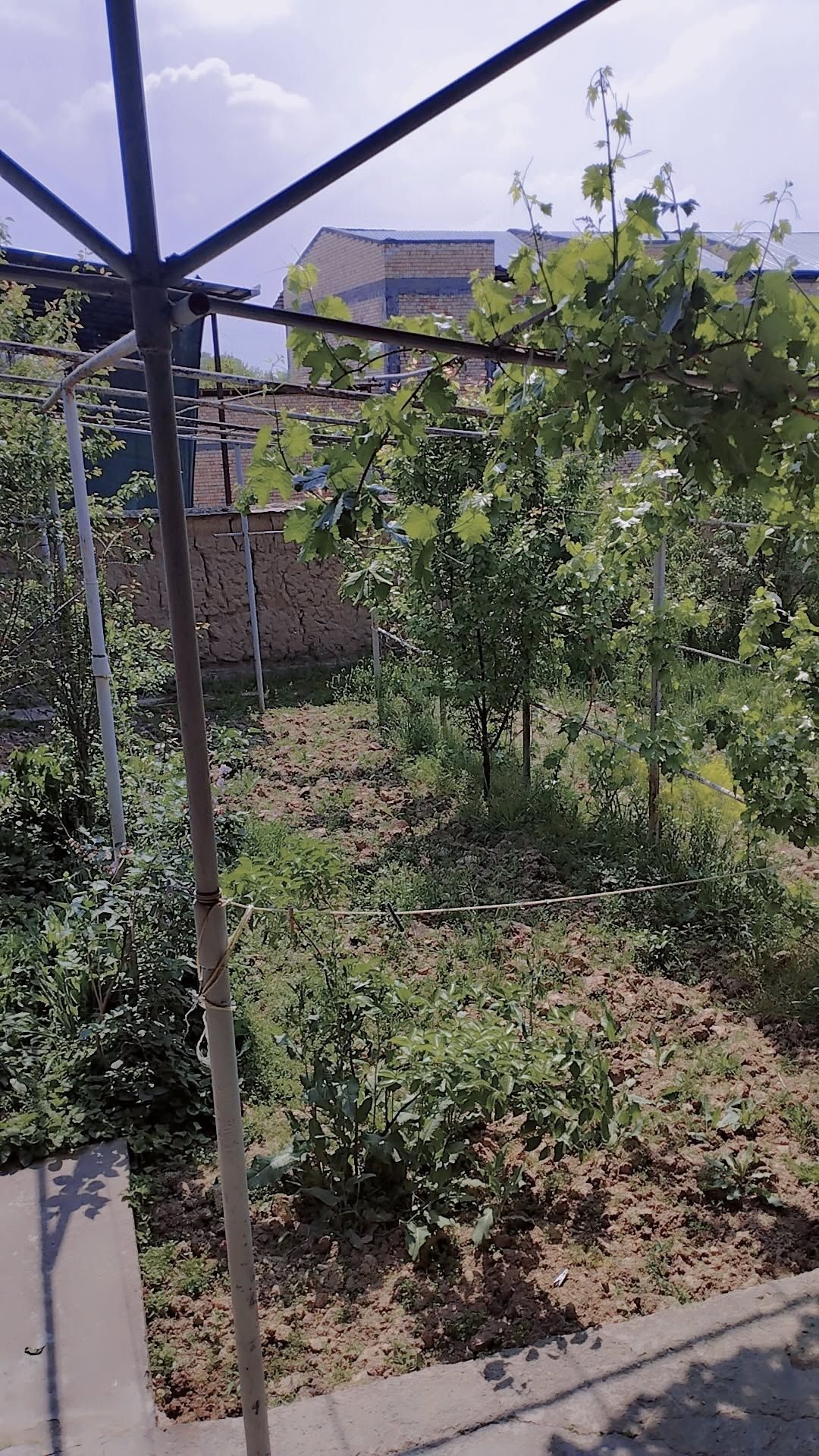 5-xonali uy, 960 m², Toshkent, Yunusobod tumani, sotuvga
