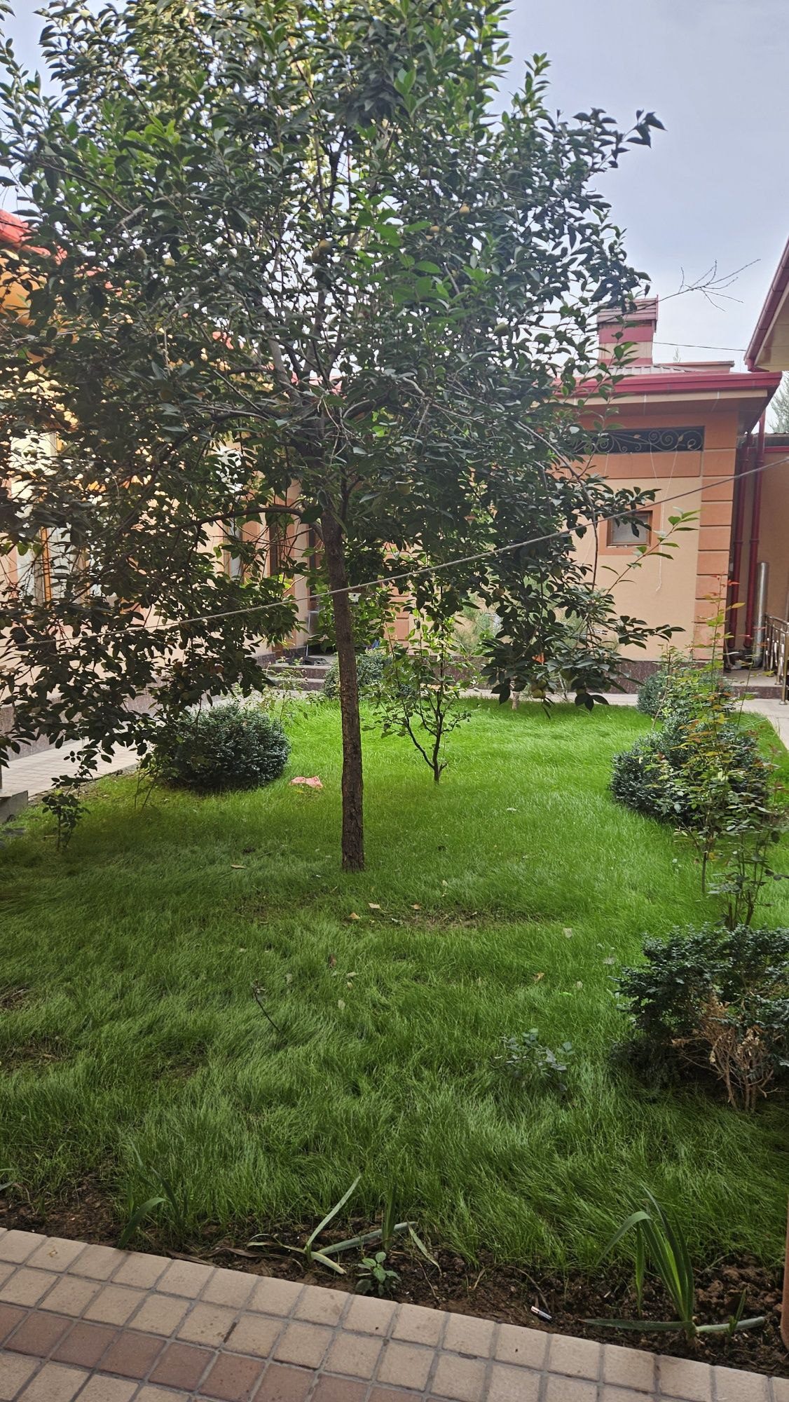 6-xonali uy, 500 m², Toshkent, Mirzo Ulug‘bek tumani, sotuvga