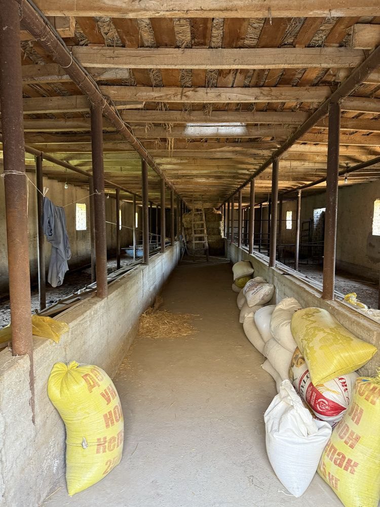 5-xonali uy, 5000 m², Toshkent, Olmazor tumani, sotuvga