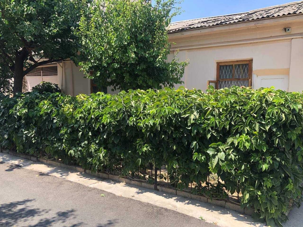 5-room house, 3.6 m², Tashkent, Yunusabad District, for sale
