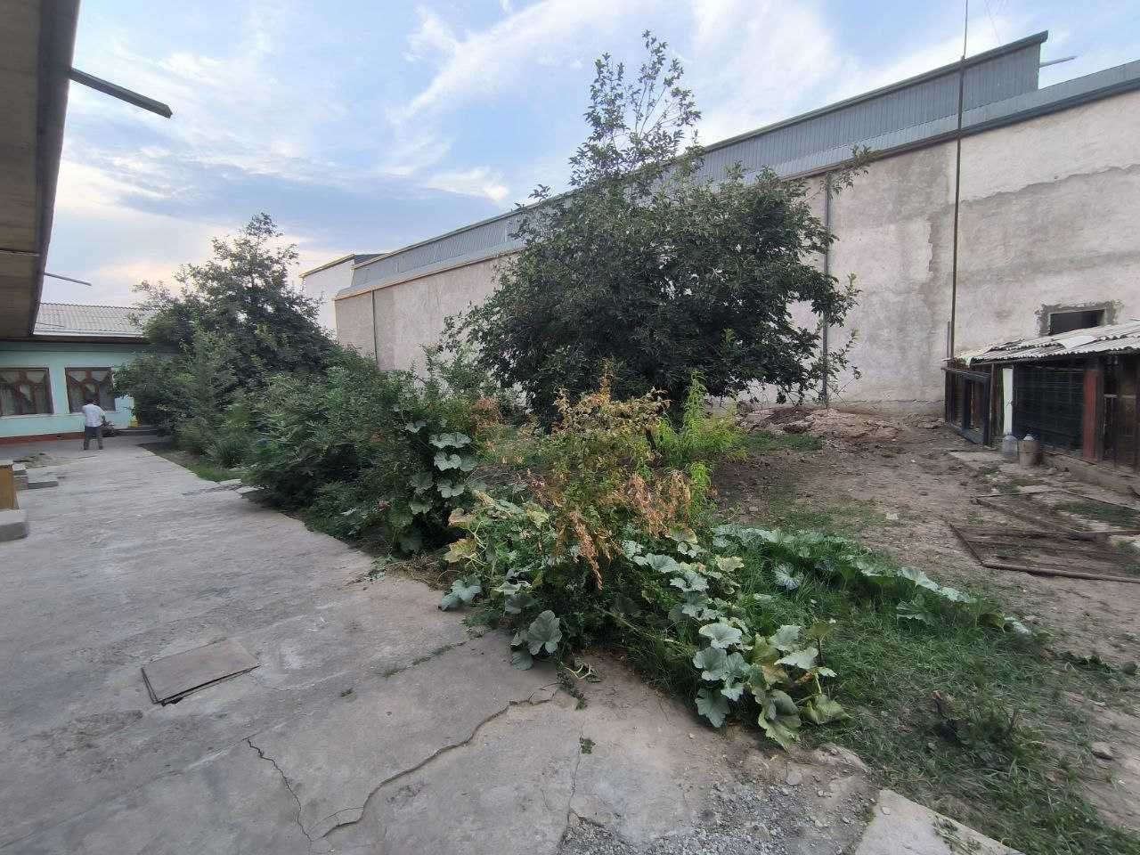 2-xonali uy, 25 m², Toshkent, Mirzo Ulug‘bek tumani, sotuvga