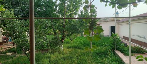 Land plot for sale