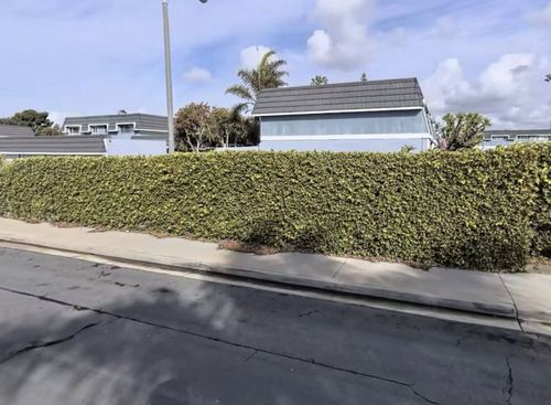Private house without intermediaries