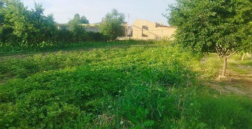 House for sale 18 sot. Parkent district.