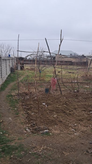 1-xonali uy, 20 m², Toshkent, Sergeli tumani, sotuvga