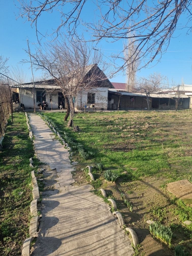 3-xonali dacha, 8 m², Toshkent, Yunusobod tumani, sotuvga