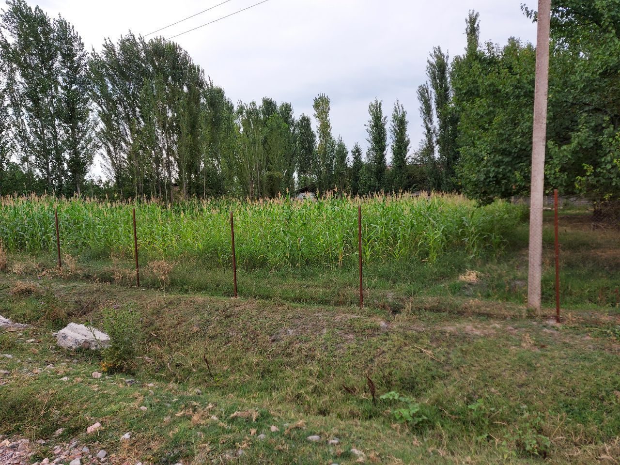 16 sotix uchastka