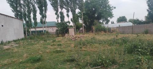 Land in Tashkent, excellent price