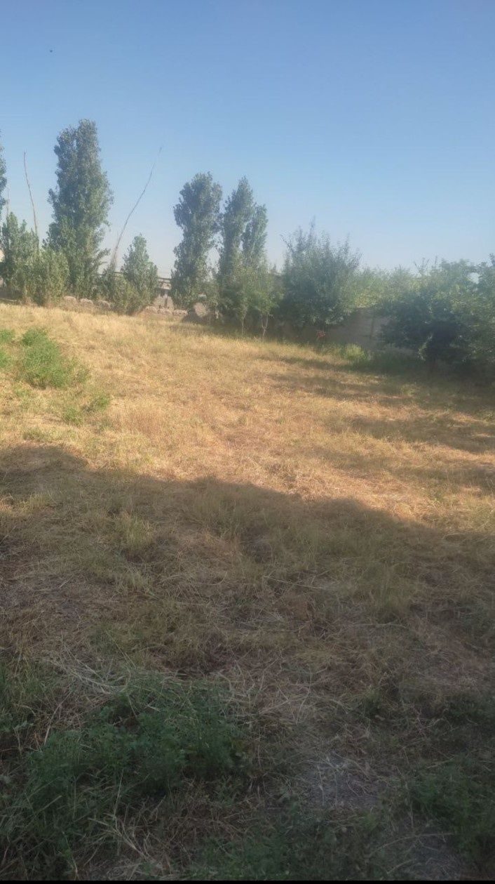 Shoshilinch uyni qurish uchun yer uchastkasi sotiladi