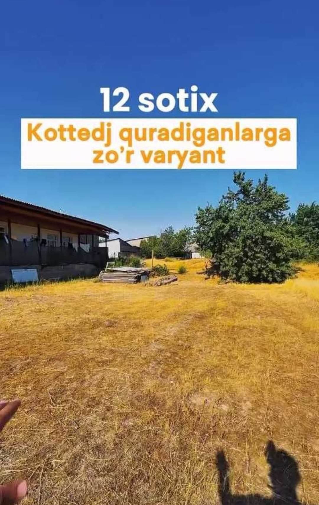 Yer sotiladi 12 sotix