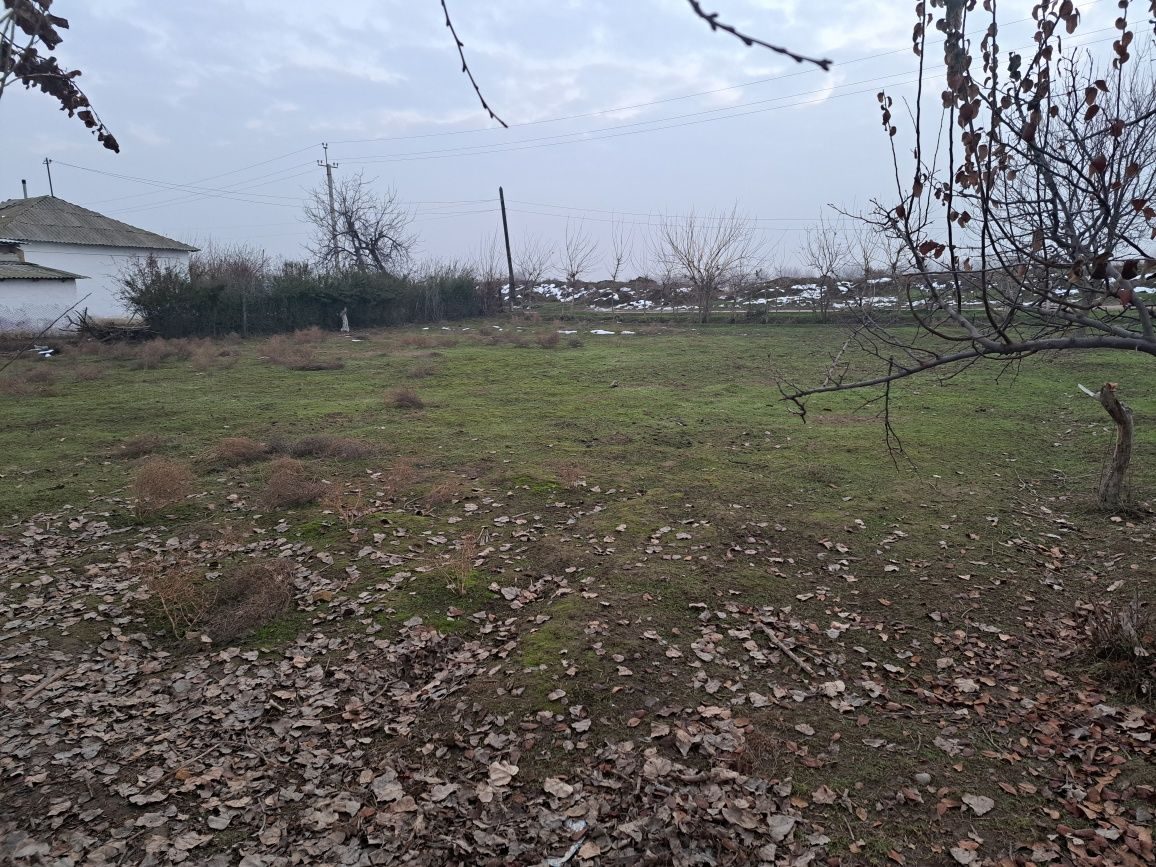 Piskent tumanida yer sotiladi