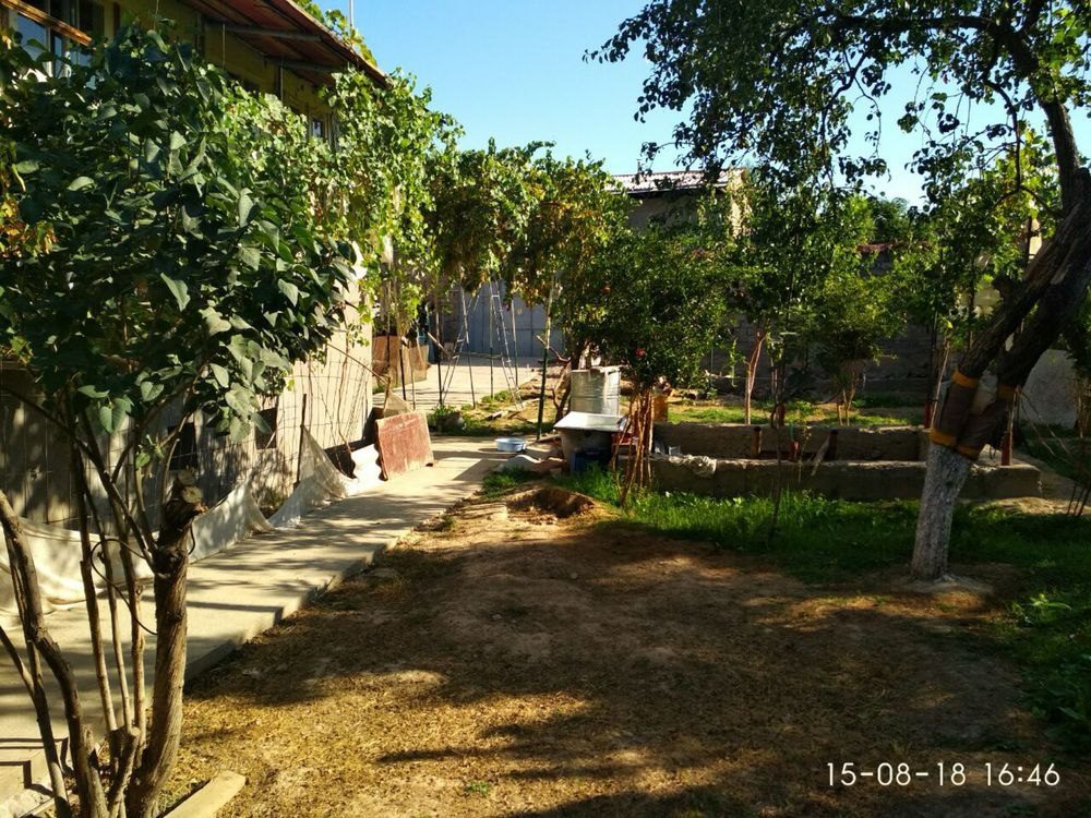 Shoshilinch ravishda uyli yer sotiladi, Nazarbek