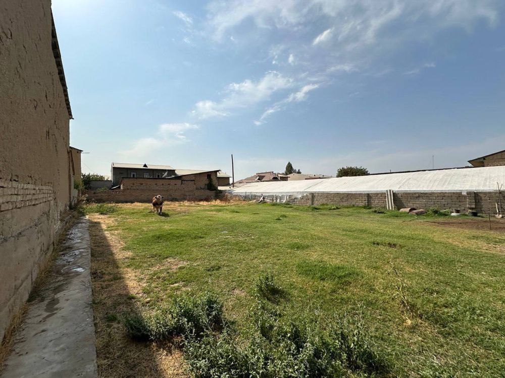 Xasanboy shahar taraf masjidga yaqin 8 sotix yer