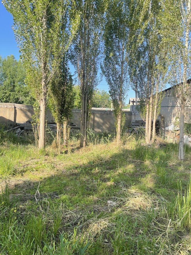 Zangata tumani (Tekistil) yarim hovli sotiladi