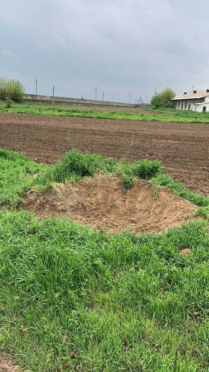 Yashnobod tumani, Bardankul posyolkasida 10 gektar yer uchastkasi sotiladi