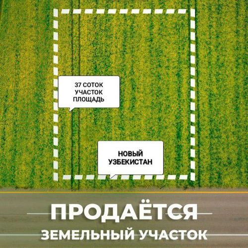 Земля в Новом Узбекистане продаётся!