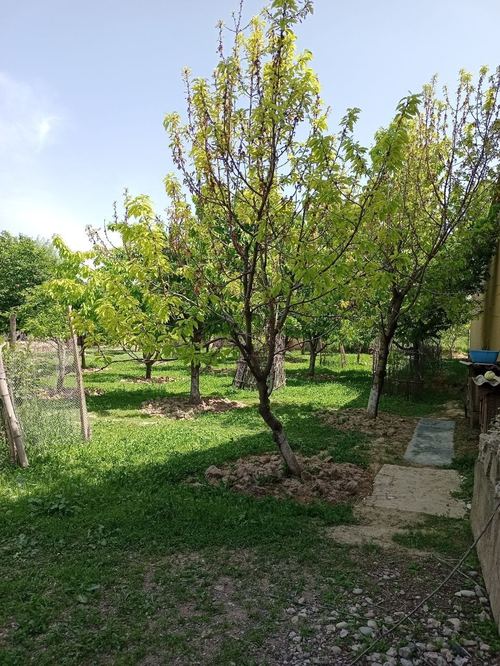 Продается земельный участок 8 соток