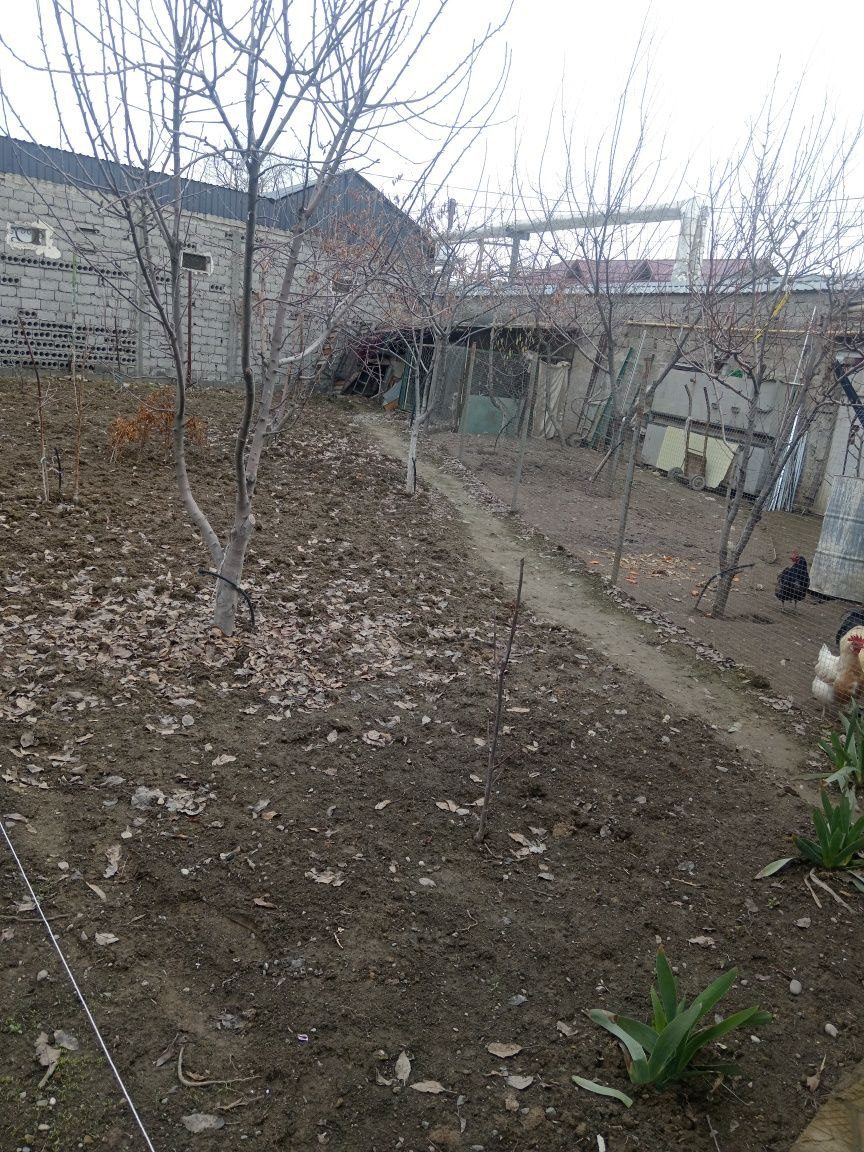 Yer uchastkasining bir qismi sotiladi, 2,5 sotix
