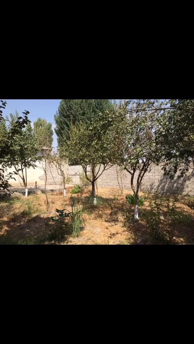 4 sotixli shaxsiy uchastka, Yangi Toshkent, Sholikor qishlog'i