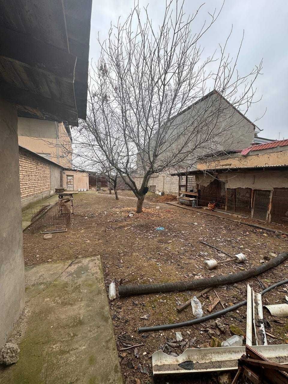 O'rikzor mahalla 1 proyezd Farnux uchastkasi sotiladi