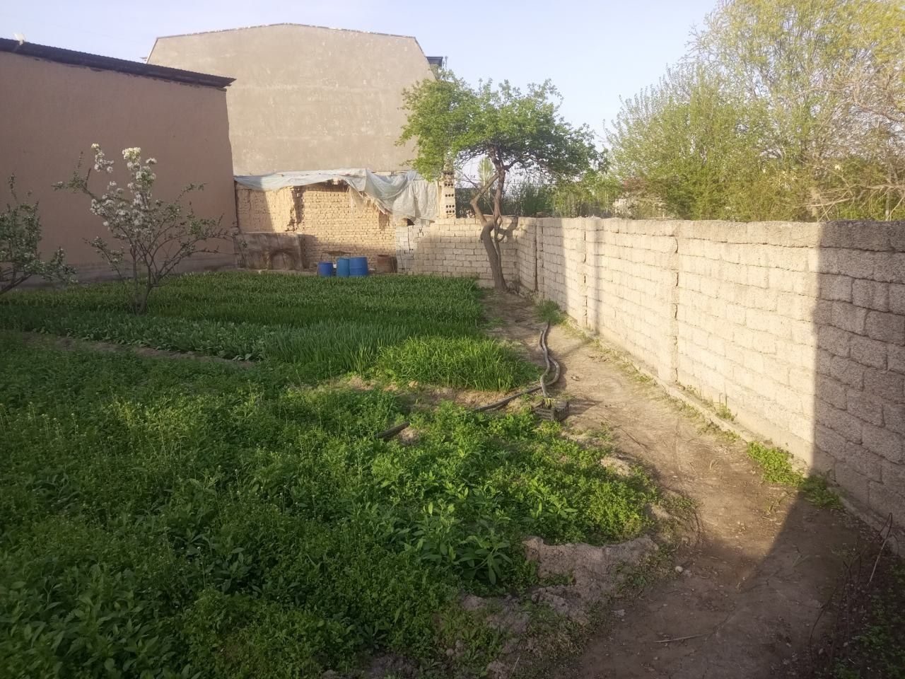Land for sale in Sergeli