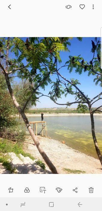 Land plot near fish pond