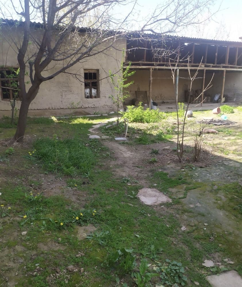 uy qurish uchun yer uchastkasi, Zangiota