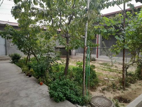 Yashnaabad 5.2 sotka