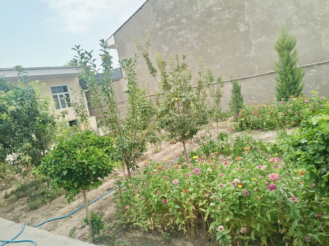 7-xonali uy, 200 m², Toshkent, Sergeli tumani, sotuvga