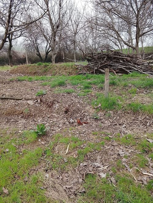 Land for sale urgently
