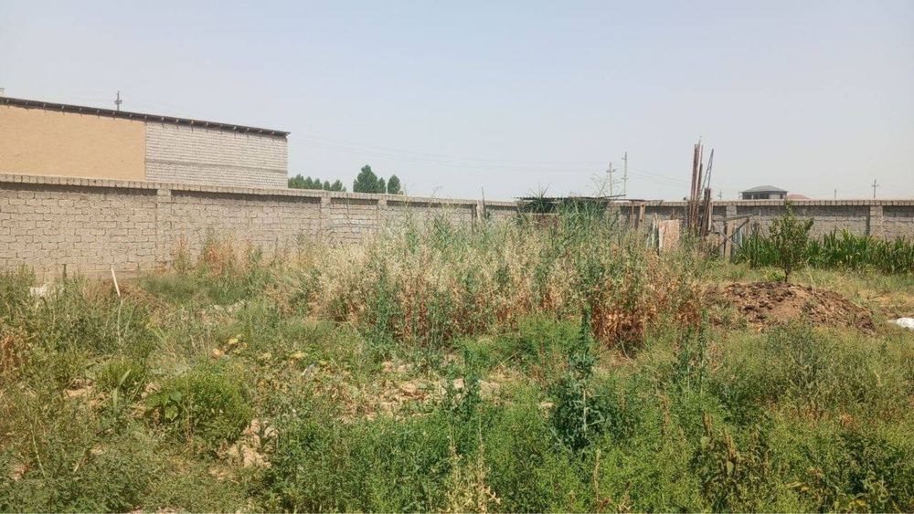 Uch Qahramon, 6 sotix yer (shoshilinch)