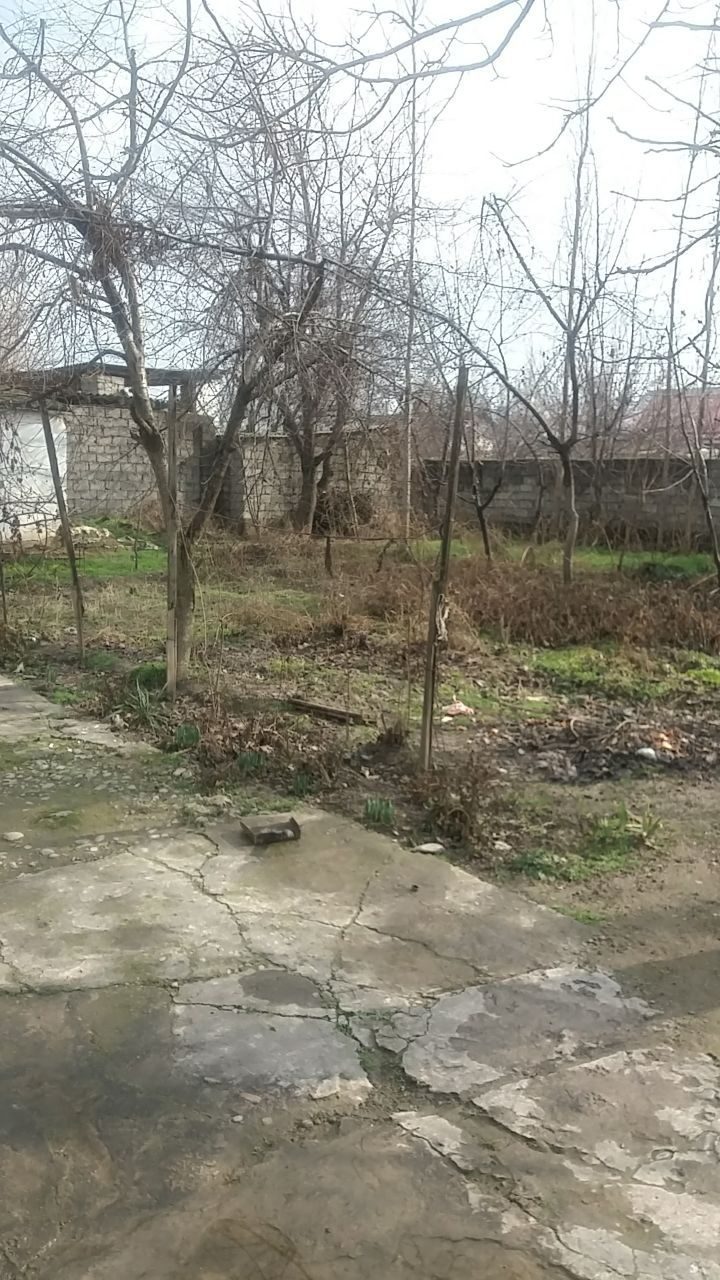 Avangard ko'chmas mulk sotaman