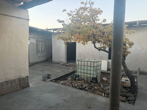 House for rent