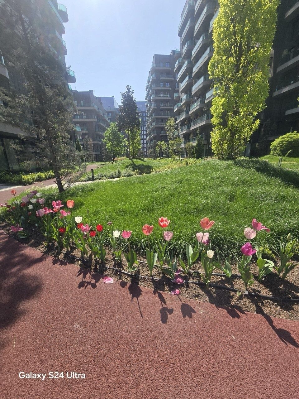 3-xonali kvartira, 83 m², Toshkent, Mirobod tumani, sotuvga