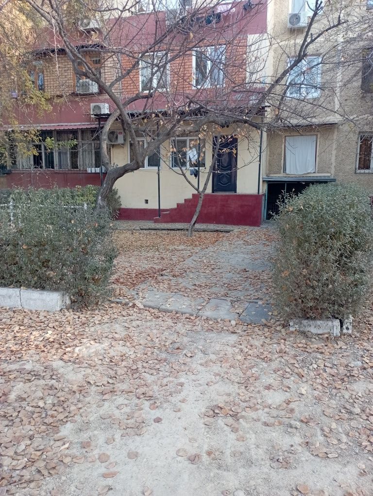 4-xonali kvartira, 79 m², Toshkent, Chilonzor tumani, sotuvga