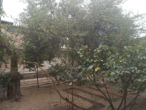 Plot for sale at an affordable price