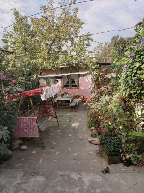 Dacha plot, near ,,Yangi Uzbekistan" park