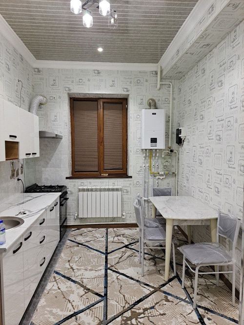 2-room apartment for rent in a new building