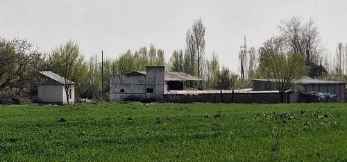 Operating livestock farm and garden 2.15 ha Kibray (Baytkurgan)