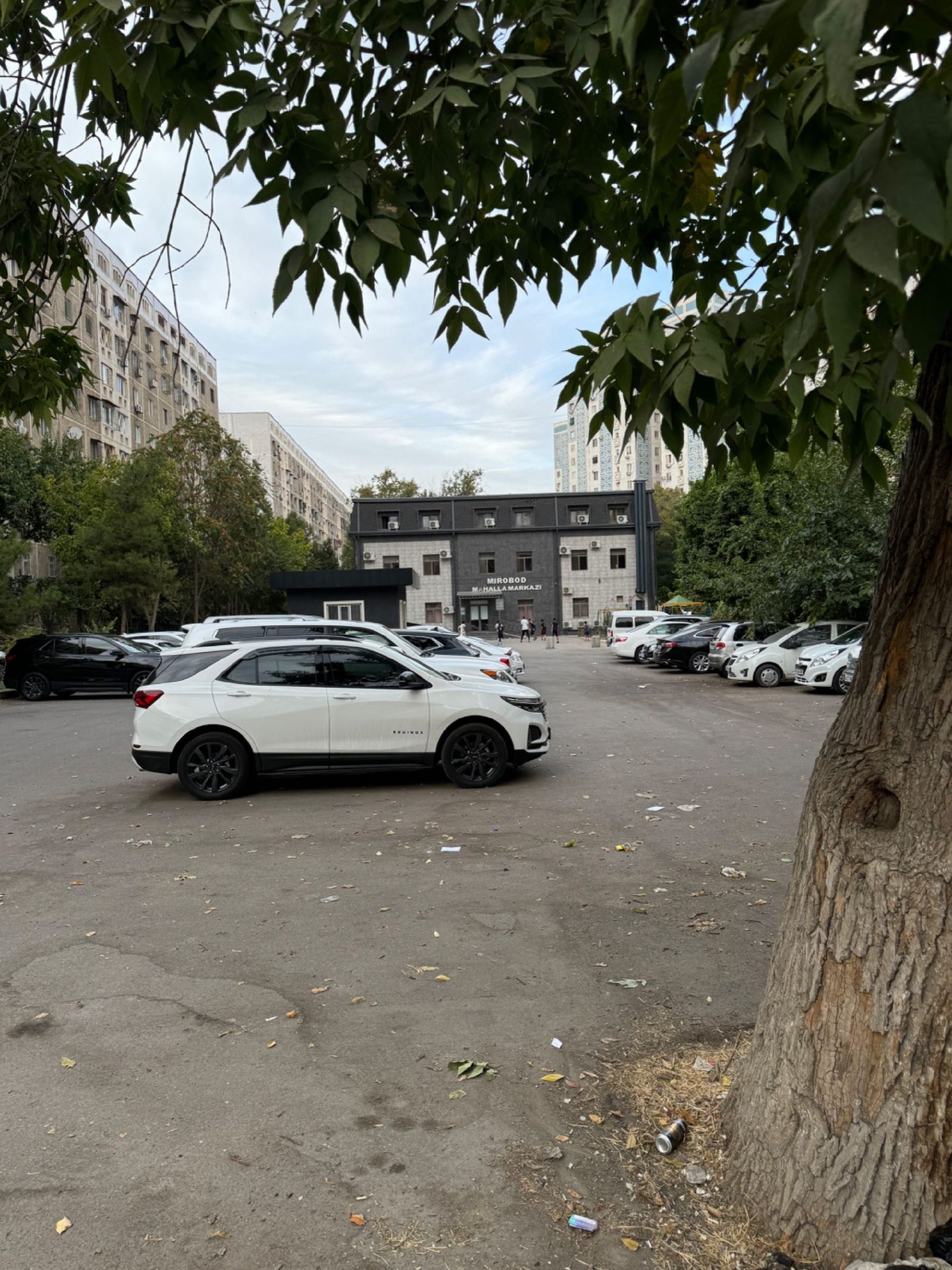 Nukus ko'chasida mulk huquqi bilan yer. Bosh reja: 7 qavatga ruxsat berilgan.