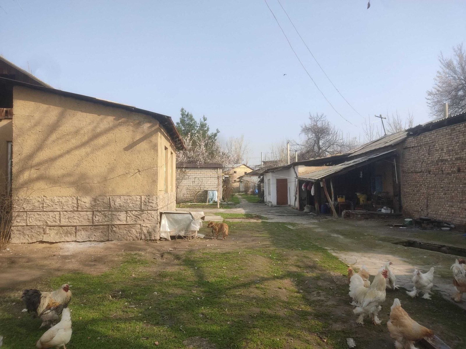 11 st. Plot for sale