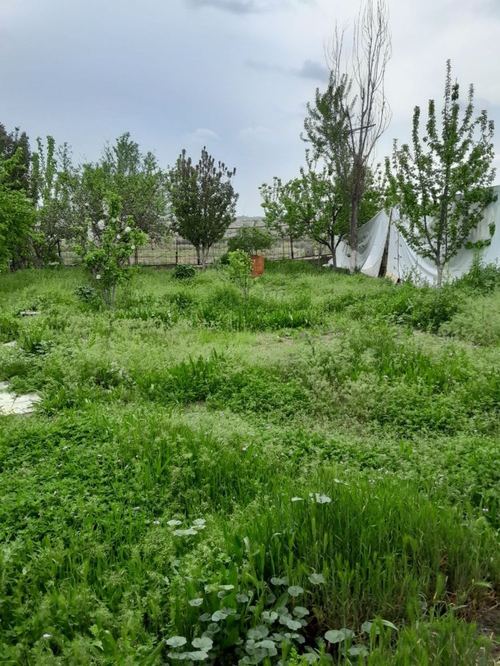 Land plot for sale in Yashnabad district