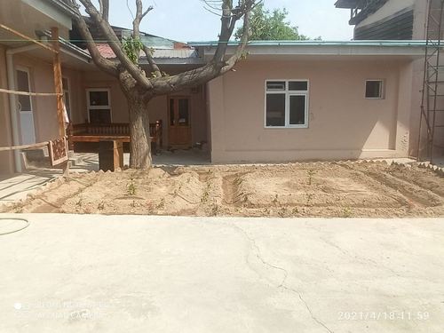 Bodomzor rent plot